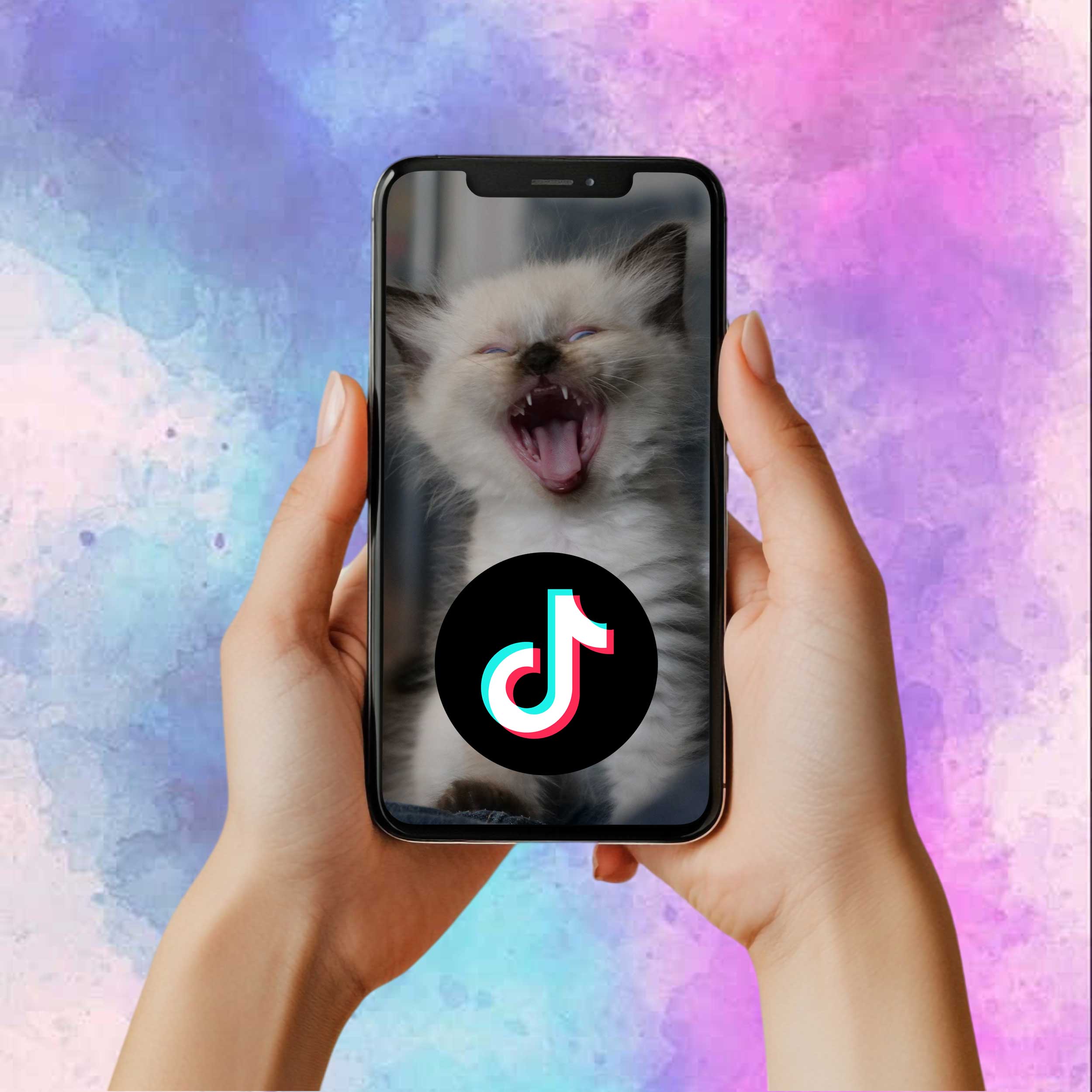 La chatterie est sur tiktok !