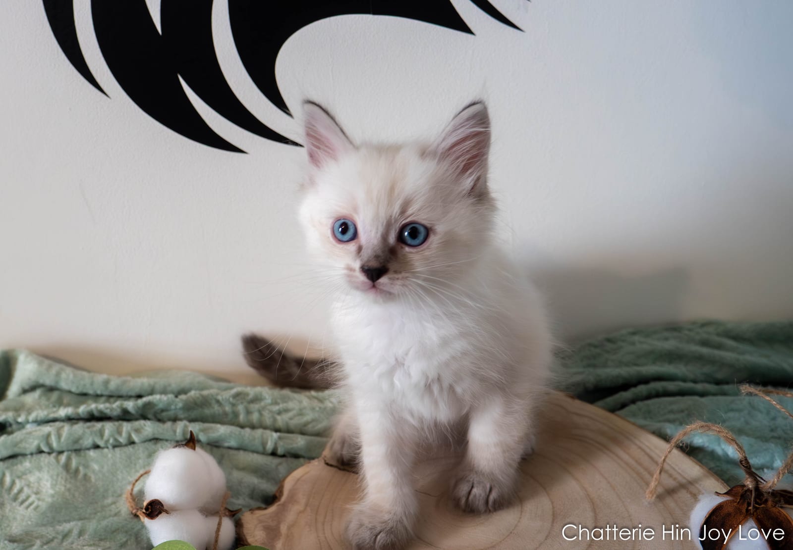 Photo de "Le Beau gosse"