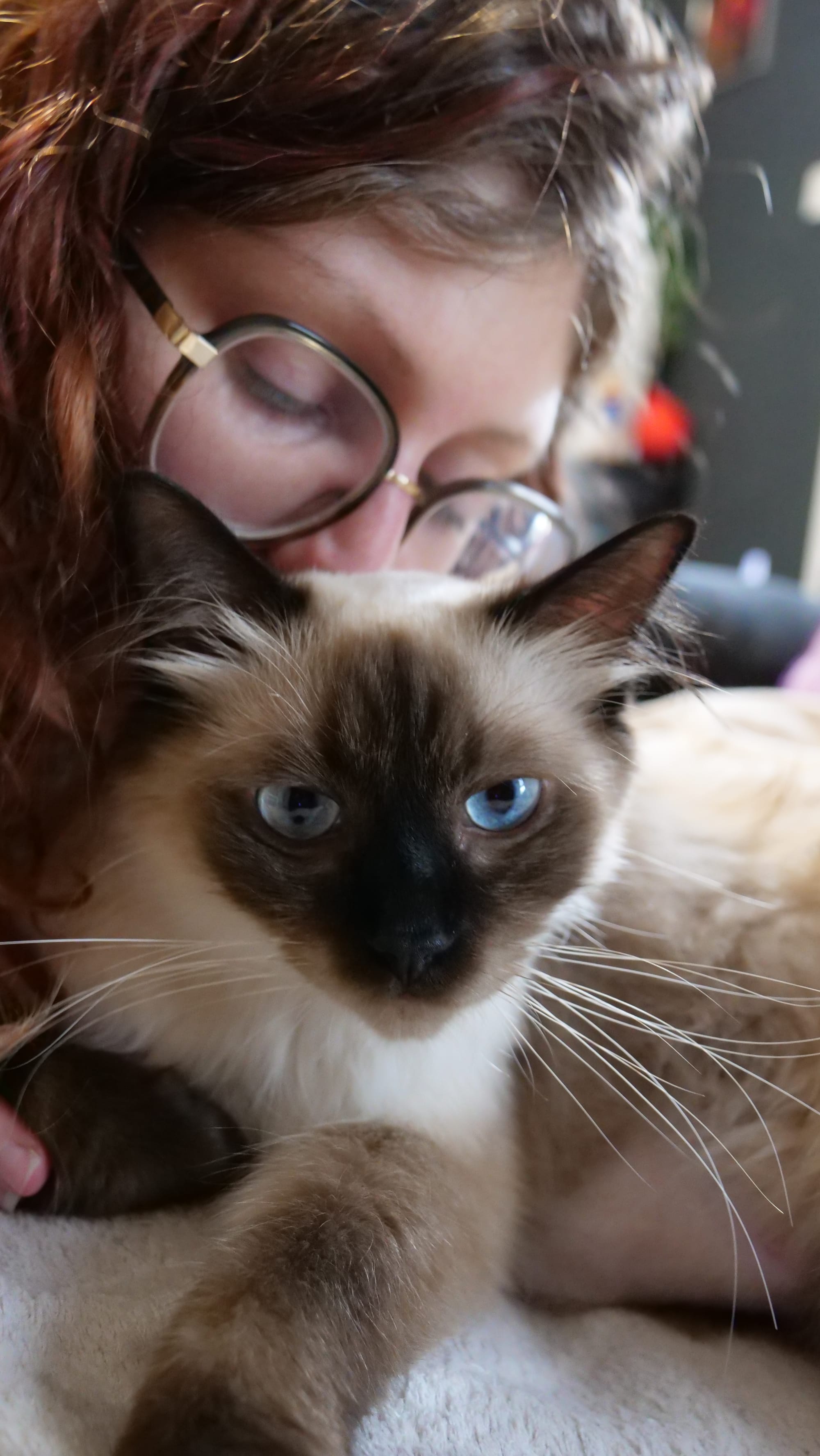 Marina, éleveuse de la chatterie Voile Céleste, avec Azshara